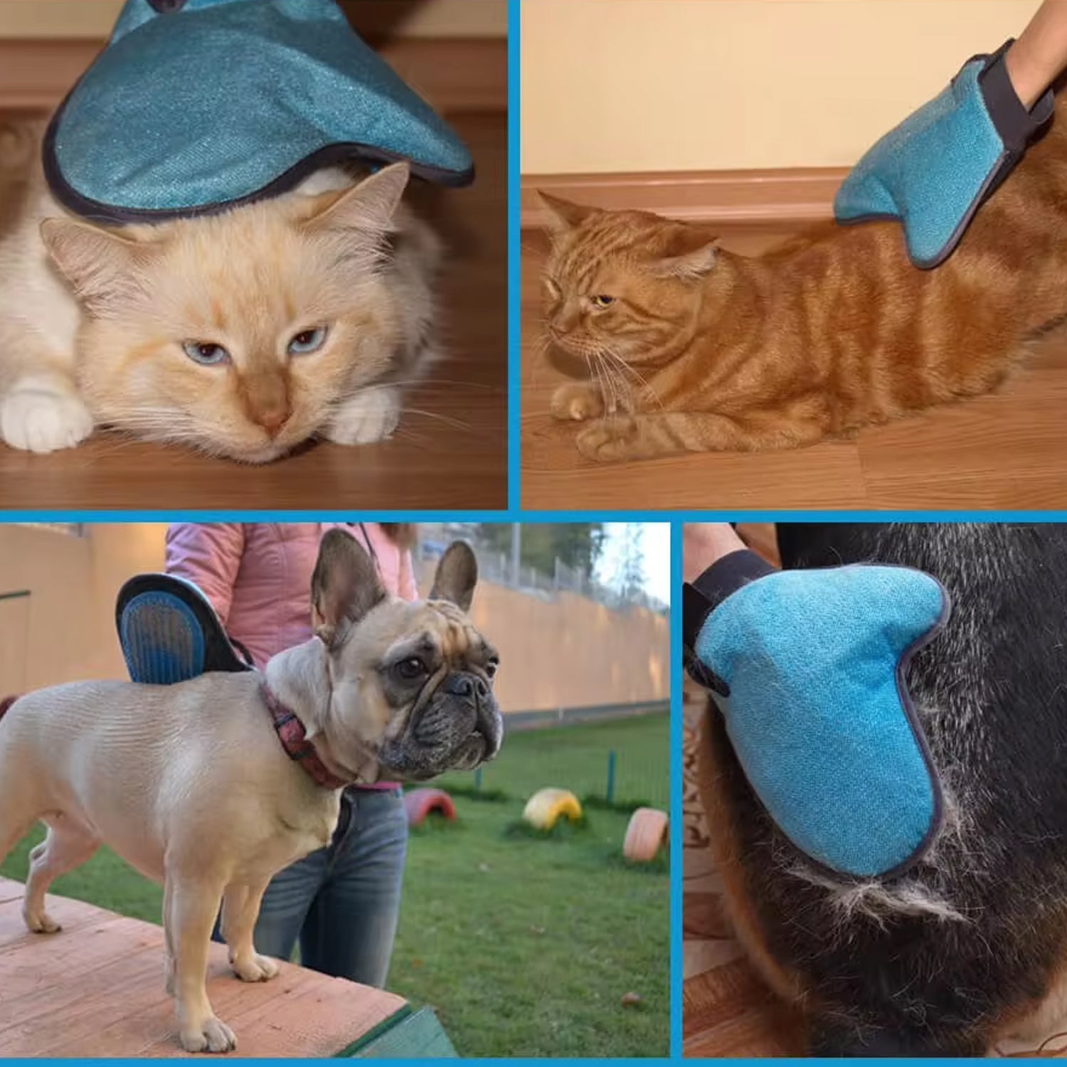 Pet Grooming Glove - Humanised Descending Brush Glove (1 Pc)